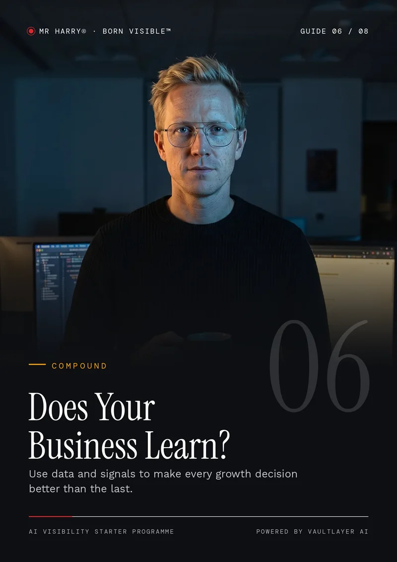 Guide 06 cover — Does Your Business Learn? — MR HARRY® Born Visible™